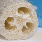 Large Loofah on a Rope